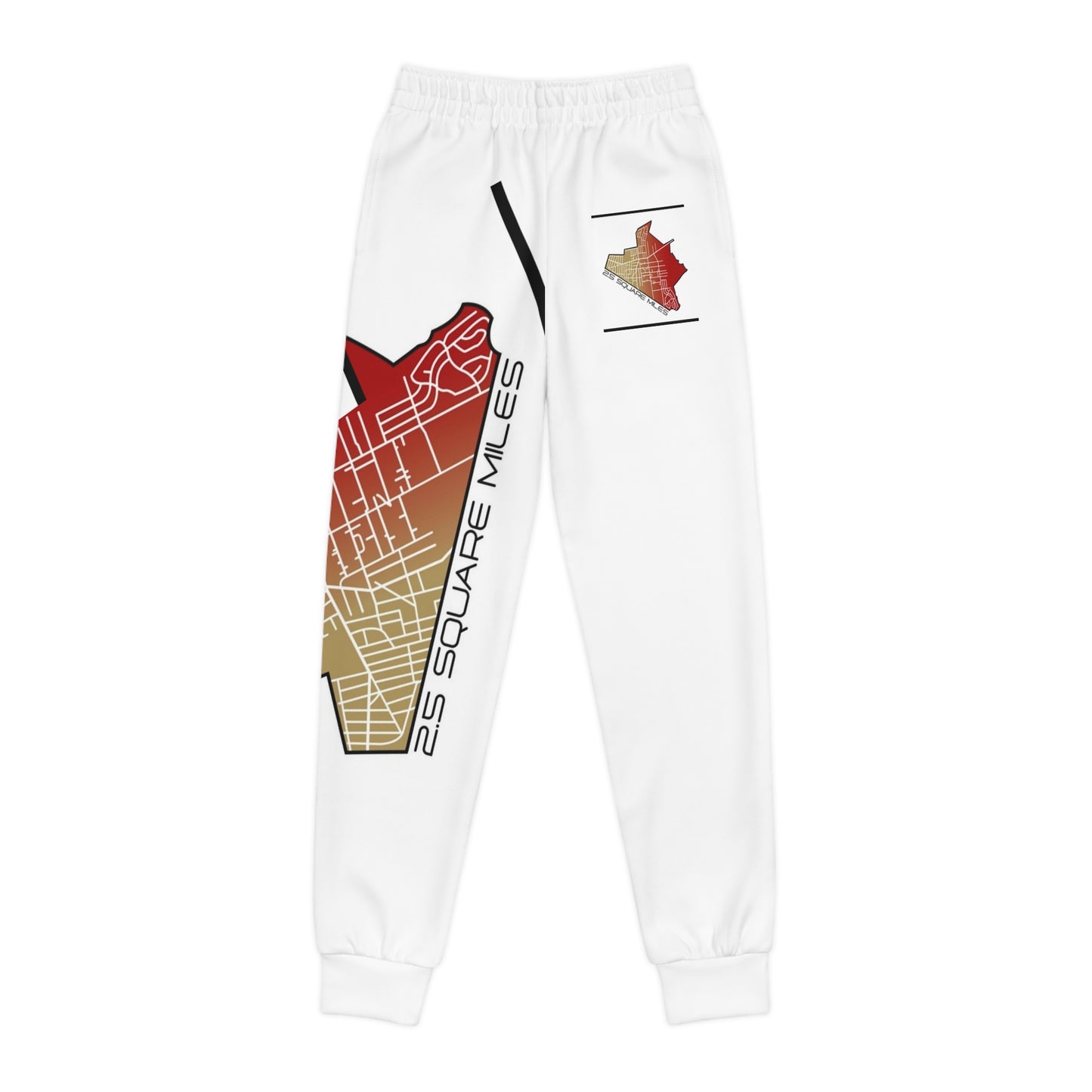Youth Joggers (AOP)