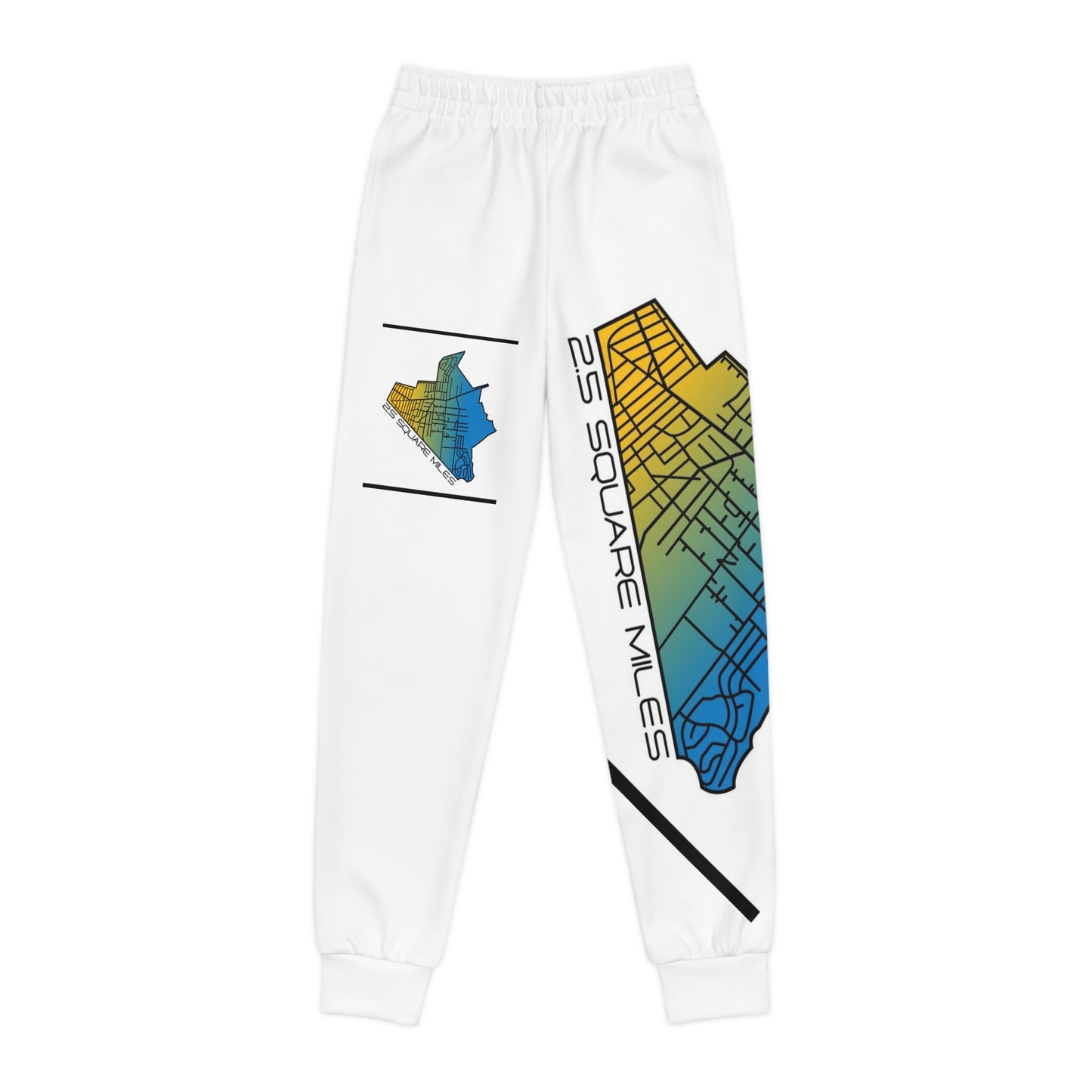 Youth Joggers (AOP)
