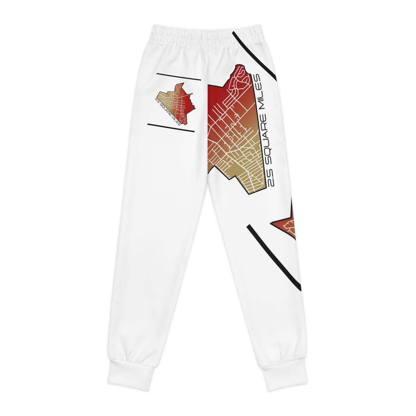 Youth Joggers (AOP)